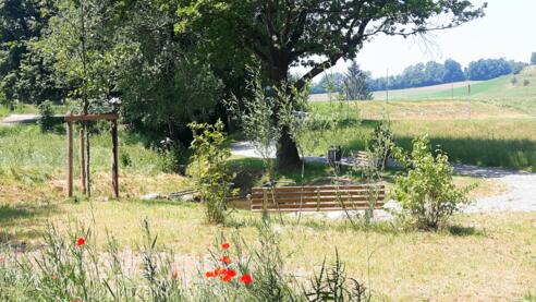 Tretanlage im Bachlauf