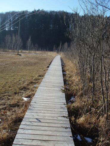 Holzsteg am Bärnsee