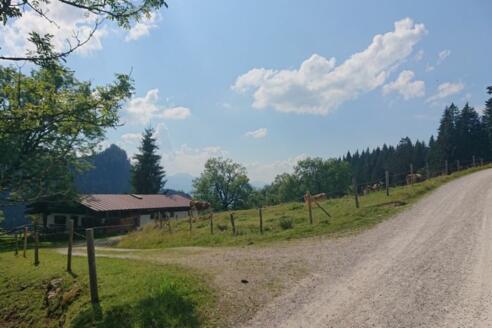 Tal Alm © Chiemsee-Alpenland Tourismus