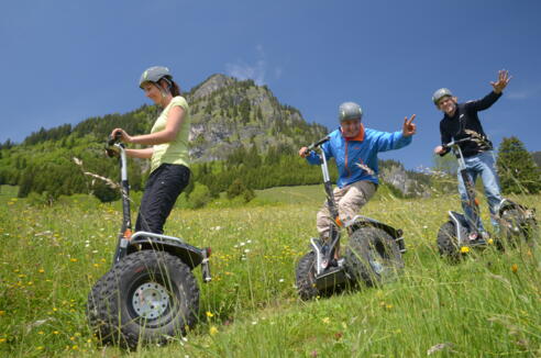 hind_segway_7469