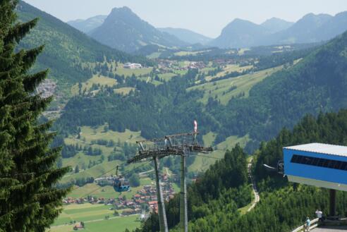 hind_hornbahn_01080