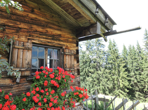Wanderung im Allgäu: Von Bühl zur Bärenfalle