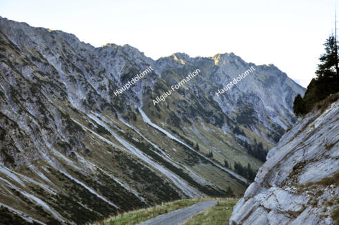 Schuppe von Allgäu-Formation zwischen Hauptdolomit