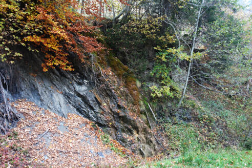 Deckengrenze