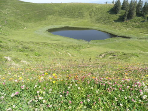 Blick vom Gipfel auf den Hörnlesee