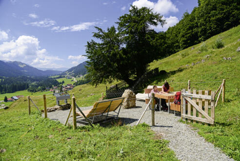 2000-jährige Eibe in Balderschwang