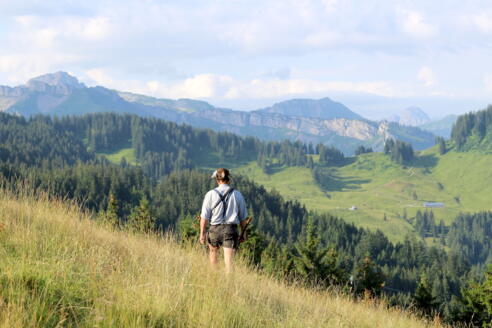 Alpe Seelosschelpen Balderschwang