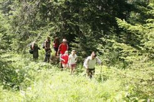 Wanderung für Einsteiger in FIschen im Allgäu