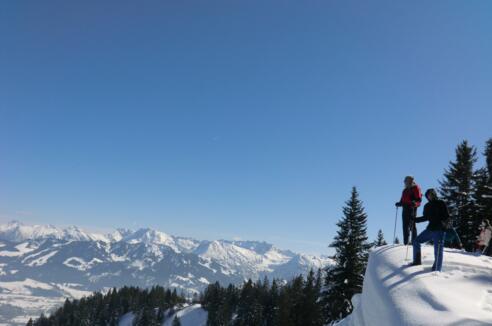 Geführte Schneeschuhtour durch den Naturpark Nagelfluh