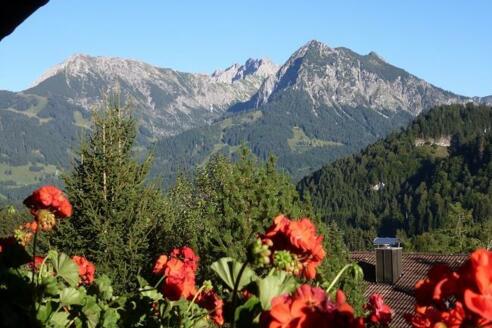 Alpenpanorama
