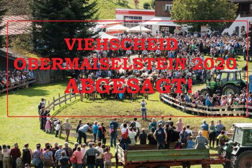 Viehscheid Obermaiselstein 2020 abgesagt