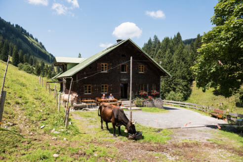 Im Sommer wird die Herzberg Alpe von Michael und Rebecca Hartmann bewirtschaftet