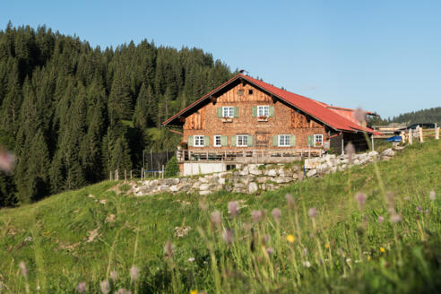 Freyburger Alpe im Lochbachtal