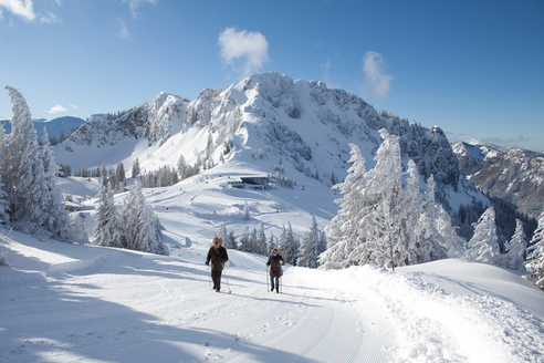 Winterwandern