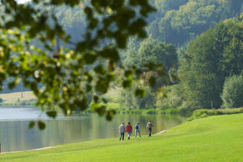 Wandern direkt am Ufer des Hahnenkammsees bei Hechlingen.