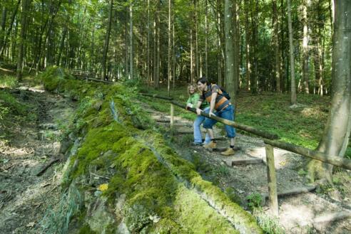 Steinerne Rinne in Wolfsbronn.