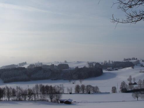 Blick auf Sportplatz