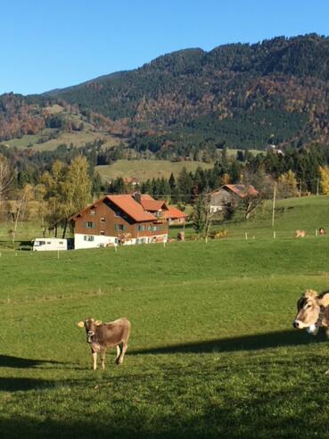 Blick zur Alpe Hohenschwand am Prodel