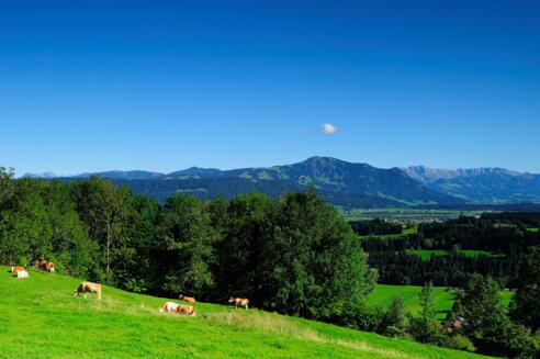 Ausblick vom Stoffelberg