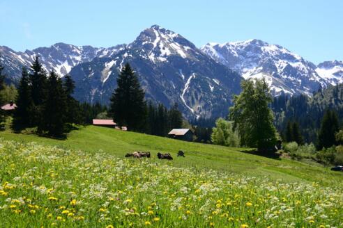 Zum Strausbergsattel
