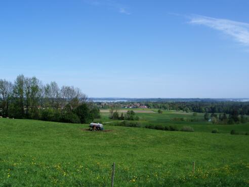 Blick auf das Bernauer Hochmoor