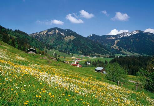Blick zum Riedbergerhorn