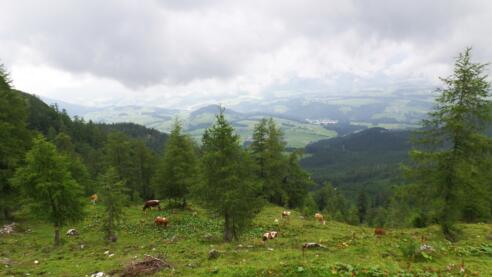 Ausblick auf Abtenau