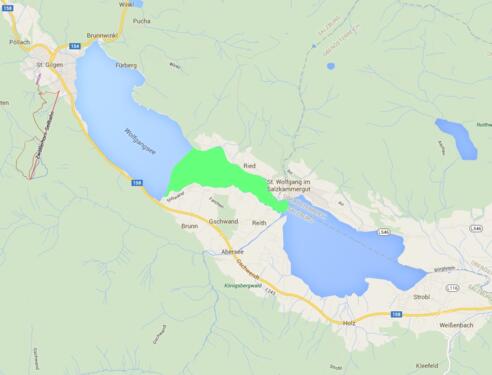 Fischen Wolfgangsee - Westteil Ried bis Schwand