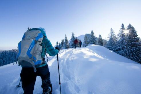 Schneeschuhwandern in der Alpenregion