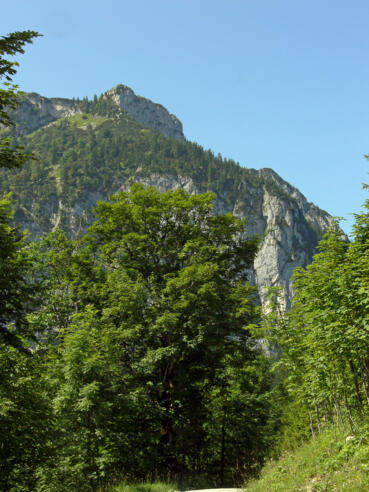 Weg auf den Breitenstein