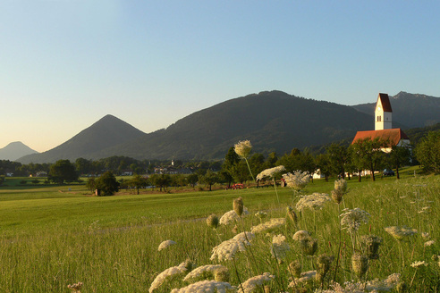Morgenstimmung in Lippertskirchen