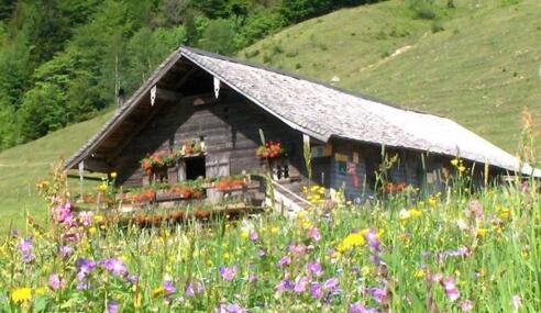 Mayerlehen Hütte