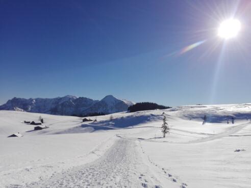 Blick auf den Braunedelkogel
