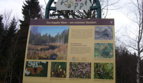 Koppler Moor