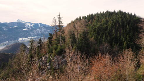 Kesselkopf 928m von Osten