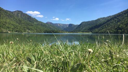 Blick vom Nordufer Richtung Hinterssee - im Hintergrund der Feichtenstein und das Königsberghorn