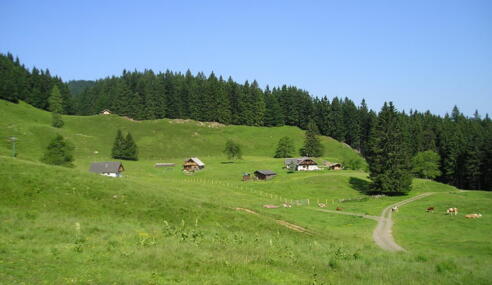 MIttereggalm