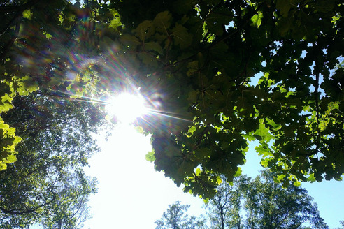 kleiner Kurpark Prien am Chiemsee