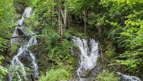 Hechtsee Abfluss - Station 12 Kieferer Energiewanderweg