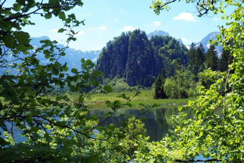 Ameisstein 776m vom Ostufer des Almsees
