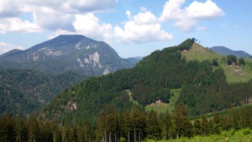 Wolfskopf 1081m mit Größtenberg