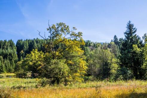 Radeln rund um Pfaffing