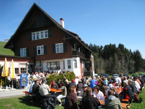 Pfänderdohle