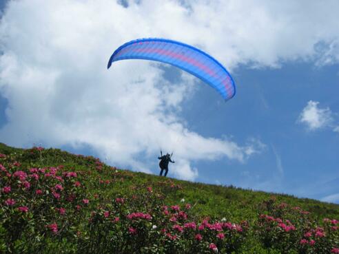Paragliding Wildschönau