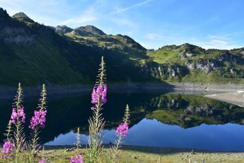 Formarinsee