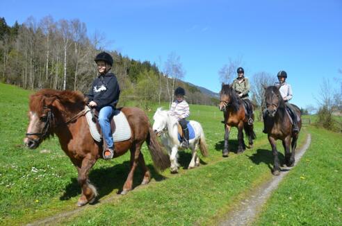 Reiten