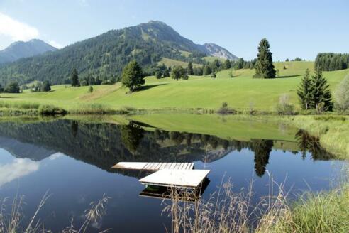 Schattwald-Moorweiher-Floschen