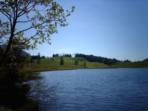 Seewaldsee