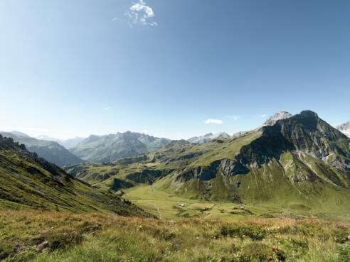 Auenfeld