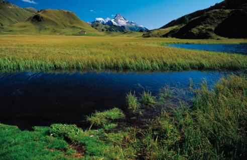 Kalbelesee